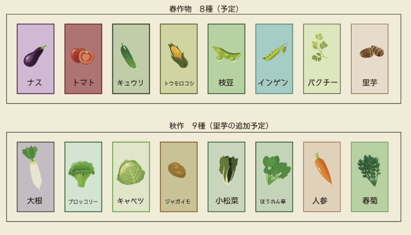 野菜づくり　スケジュール